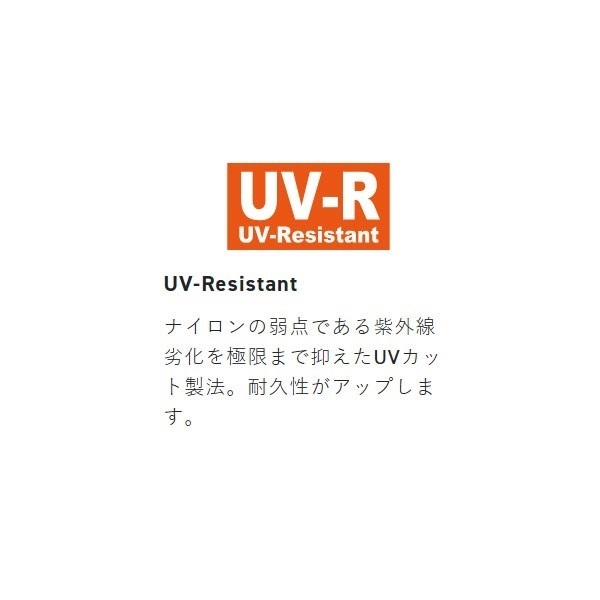 キャステスト 投